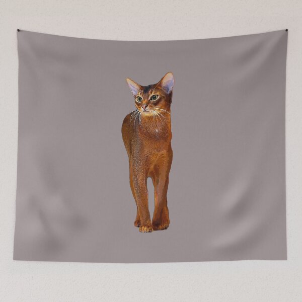 Item preview, Abyssinian Cat Kitten  designed and sold by ElegantCat.