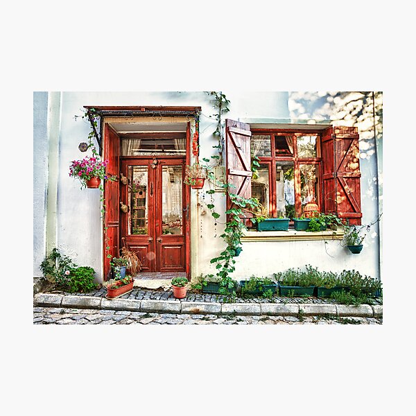 House dream Photographic Print