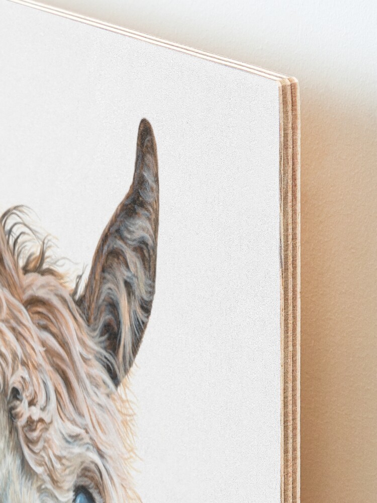 Alternate view of Llama Latte Mounted Print