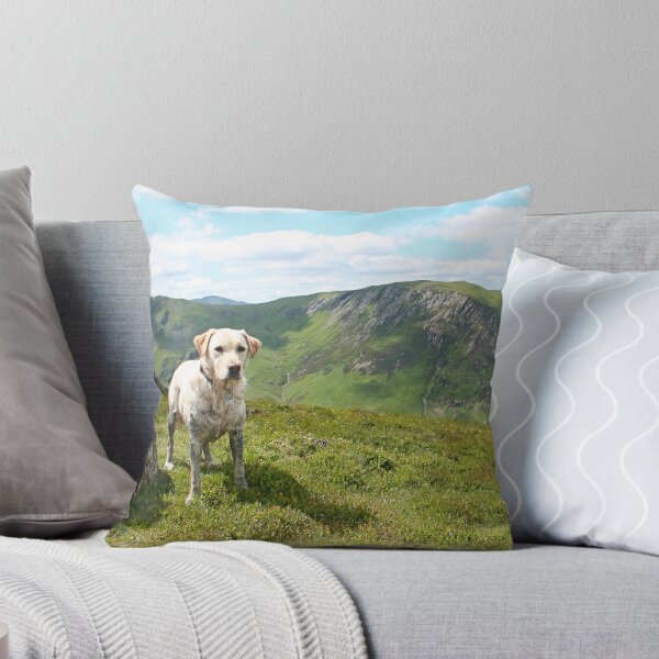 Item preview, Mountain dog at Cat Bells designed and sold by Funkylikeabee.