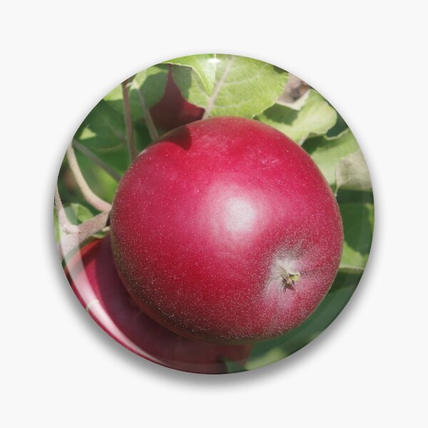Item preview, Apple Almost Ready designed and sold by rvjames.