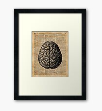 Weinlese-menschliche Anatomie-Gehirn-Illustrations-Wörterbuch-Buch-Seiten-Kunst Gerahmtes Wandbild