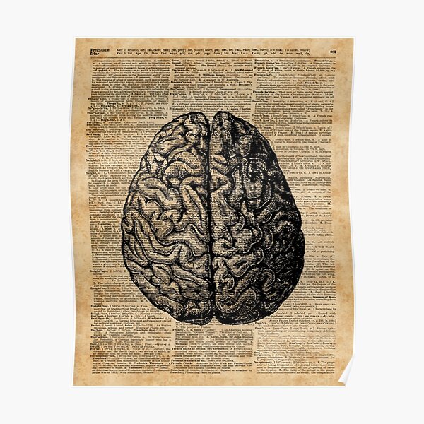 Vintage Human Anatomy Brain Illustration Dictionary Book Page Art Poster