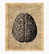 Vintage Human Anatomy Brain Illustration Dictionary Book Page Art Photographic Print