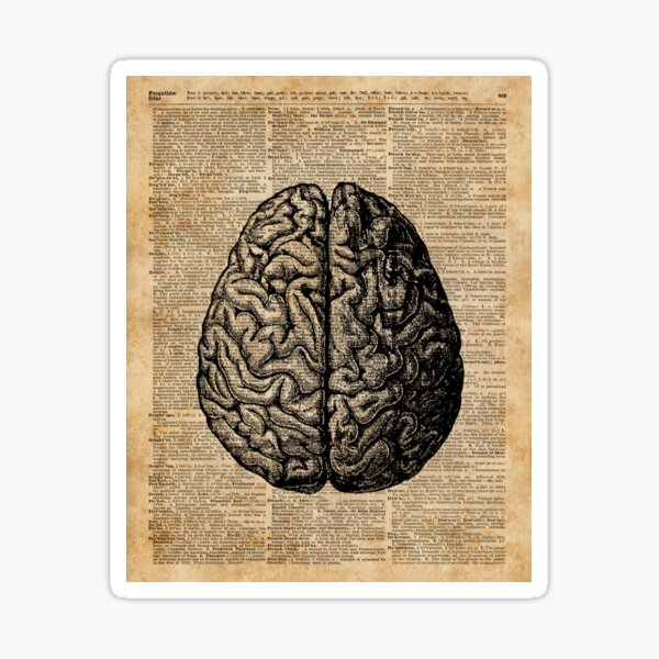 Item preview, Vintage Human Anatomy Brain Illustration Dictionary Book Page Art designed and sold by DictionaryArt.