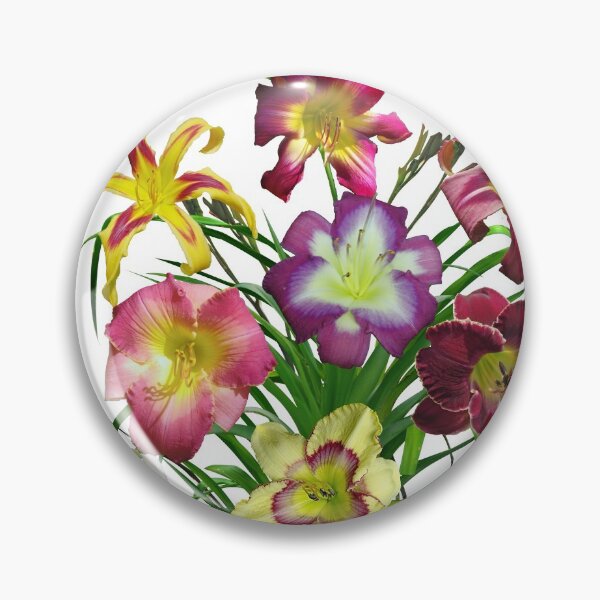 Item preview, Celebration of daylilies I, Hemerocallis flowers designed and sold by rvjames.