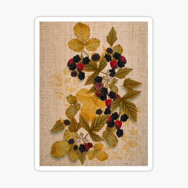Item preview, Old Cretonne from Old Nilsson's Farm designed and sold by PrivateVices.