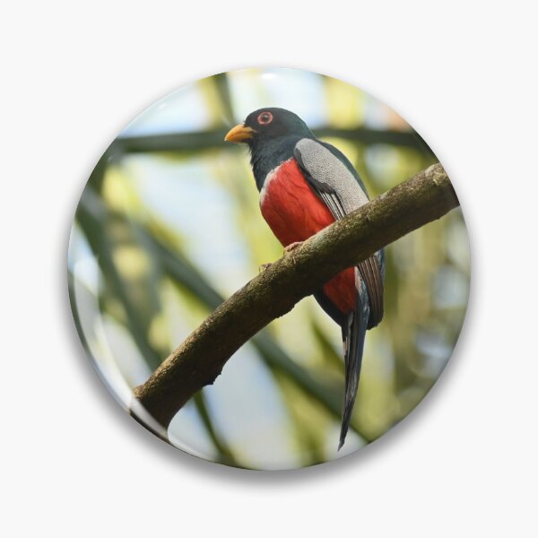 Item preview, trogon designed and sold by JIM-AND-ME.