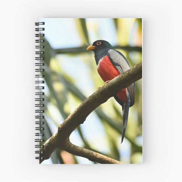 Item preview, trogon designed and sold by JIM-AND-ME.
