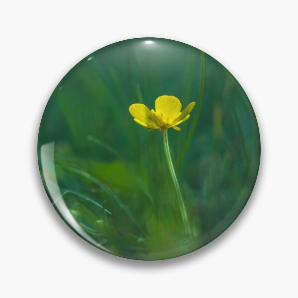 Aperçu de l'œuvre Fleur sauvage jaune unique créée et vendue par Tamas KLAUSZ.