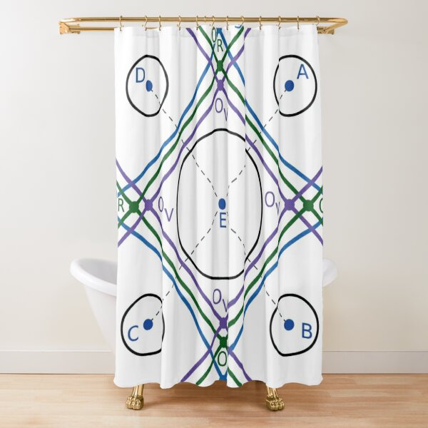 The standard Voronoi cell, Voronoi S cell and radical Voronoi cell of circle E in 2D space Shower Curtain