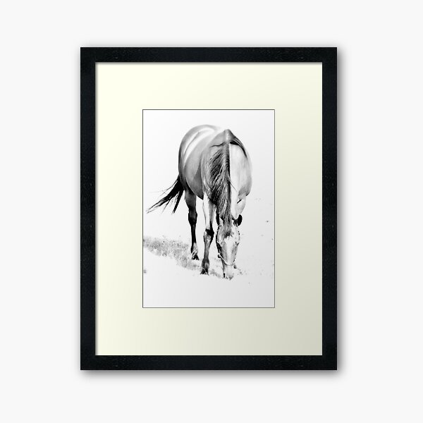 Horse C Framed Art Print