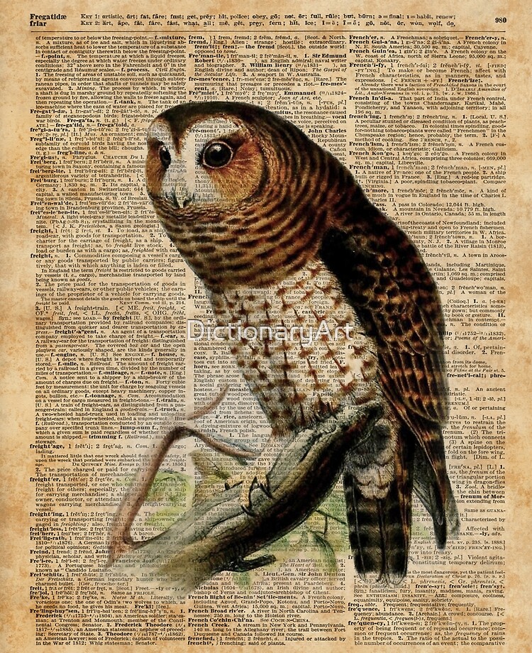 Owl Vintage Illustration Over Old Encyclopedia Page