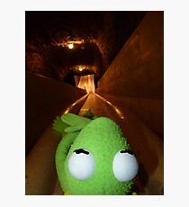 Frog Kermit Slip Mine Salt Mine Photographic Print