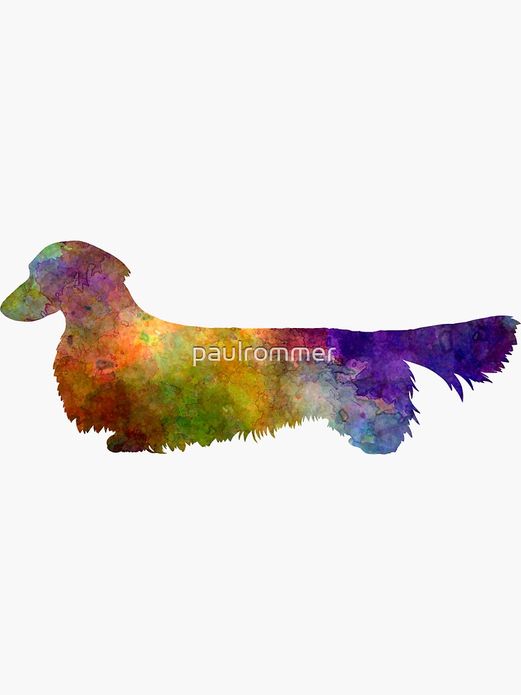 Dachshund Long Haired in watercolor by paulrommer