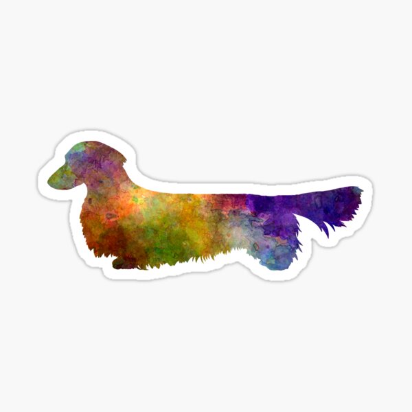 Dachshund Long Haired in watercolor Sticker