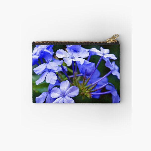 Item preview, Pretty in Blue............ Plumbago Capensis designed and sold by lynn carter.