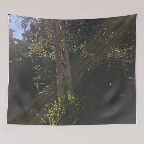 Item preview, Nature and Sunlight designed and sold by MonoMerch26.