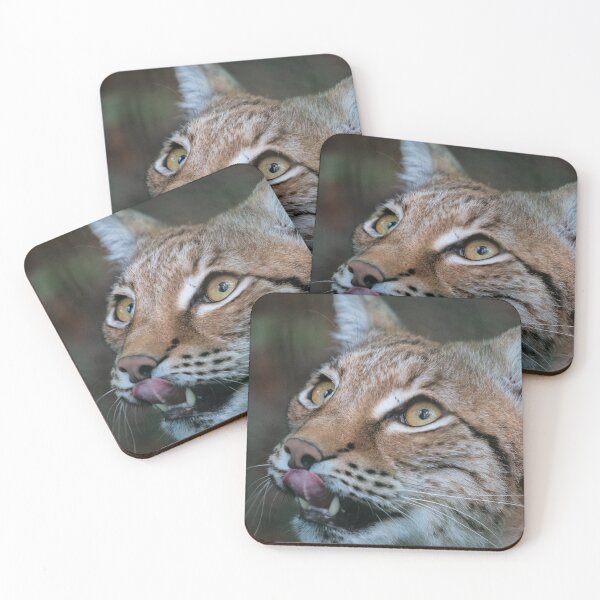 Item preview, Lynx Boréal designed and sold by Olek-Impek.
