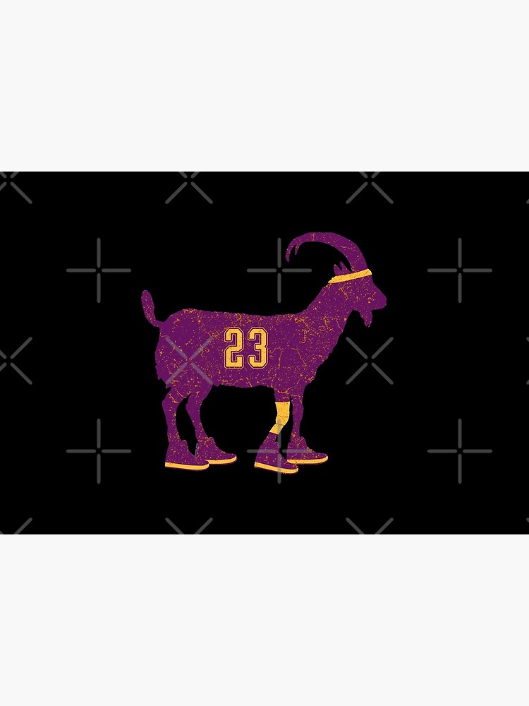 lebron goat vision
