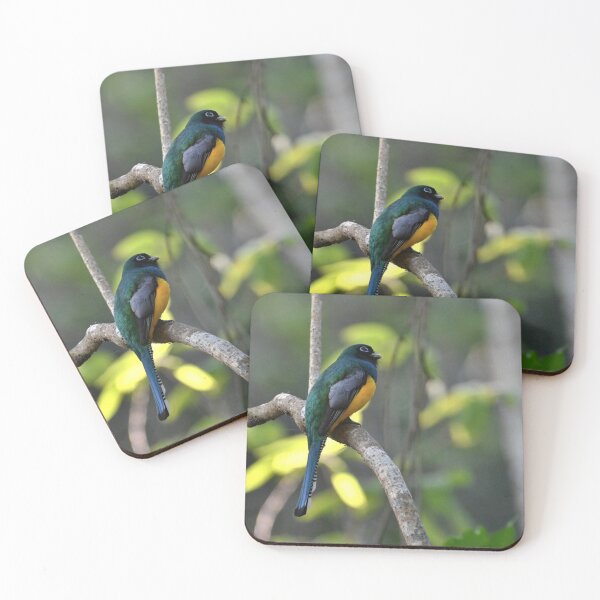 Item preview, trogon panama designed and sold by JIM-AND-ME.