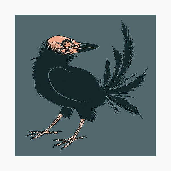 Creeps Photographic Print