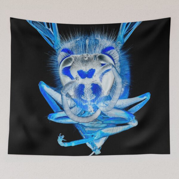 Item preview, Blue Wasp designed and sold by Dave Hare Photography.