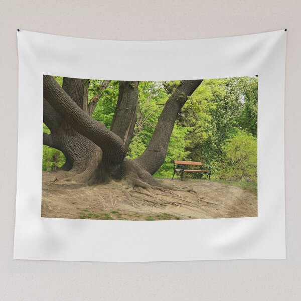 Item preview, old wood and a park bench  designed and sold by goceris.