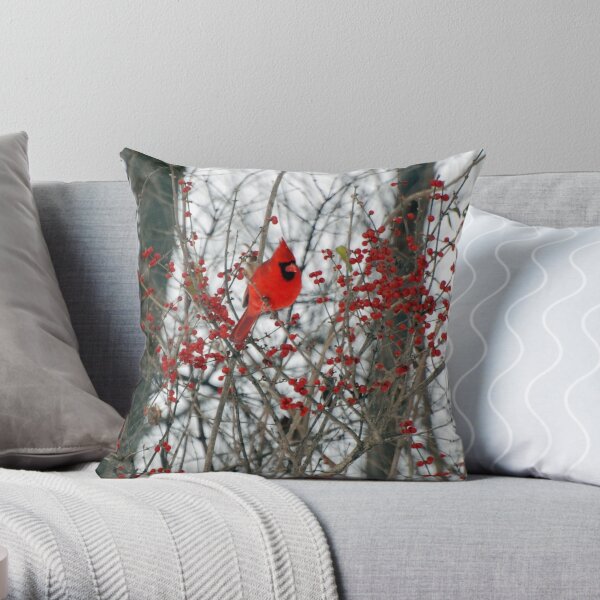 Christmas cardinal hot sale throw pillows