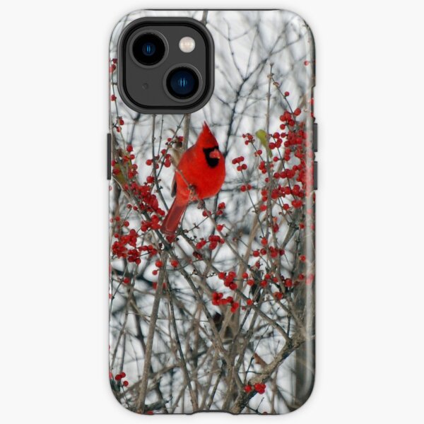 Cardinal iPhone Tough Case