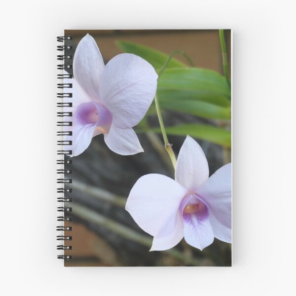 Artikelvorschau, Cooktown Orchidee. entworfen und verkauft von RaWhit.
