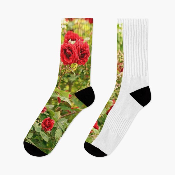 Item preview, garden with red roses in springtime designed and sold by goceris.