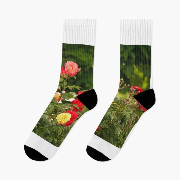 Item preview, garden with red yellow and pink roses in springtime designed and sold by goceris.