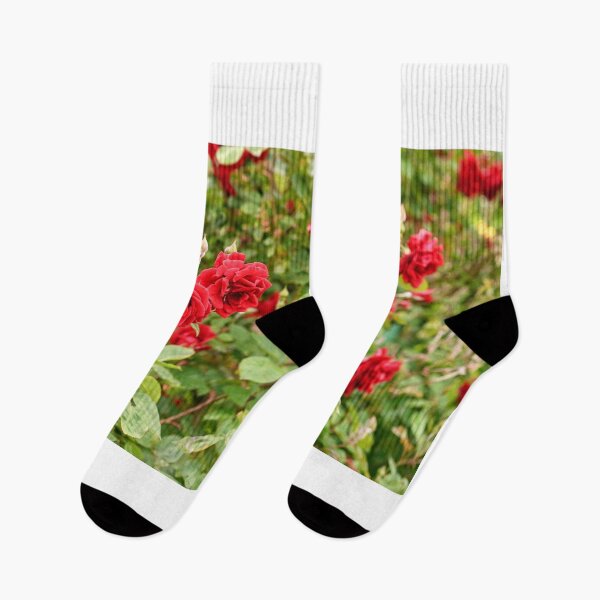 Item preview, Red roses garden in springtime designed and sold by goceris.