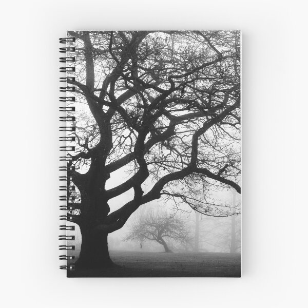 Item preview, 16.11.2015: Old Oak Tree designed and sold by Petri Volanen.