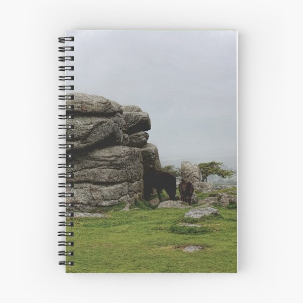 Item preview, Combestone Tor Dartmoor Devon designed and sold by Avril Harris.