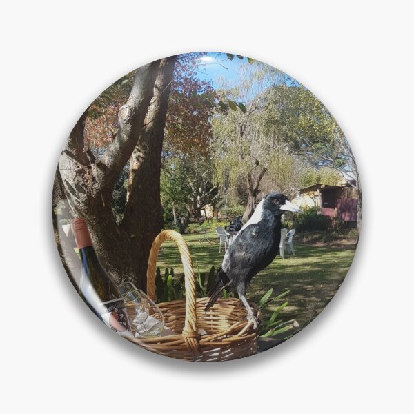Artikelvorschau, Elster in Magpie Springs - Weinregion Adelaide Hills - Halbinsel Fleurieu - vom südaustralischen Künstler Avril Thomas entworfen und verkauft von MagpieSprings.