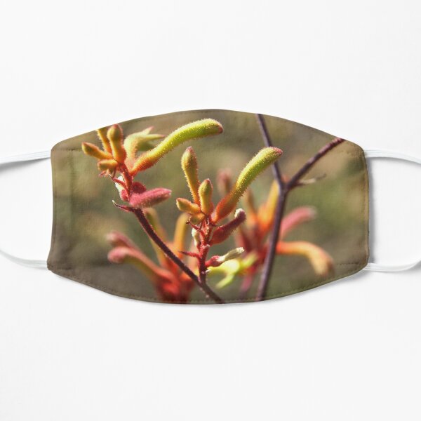 Kangaroo paw - Adelaide Hills Wine Region - Fleurieu Peninsula - by South Australian artist Avril Thomas Mask