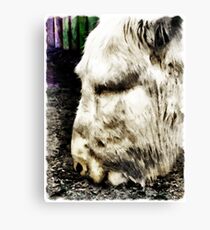 "One can't complain" said Eeyore Canvas Print