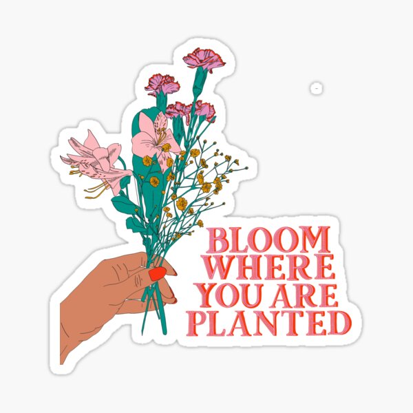 Bloom Where You Are Planted Gifts & Merchandise for Sale