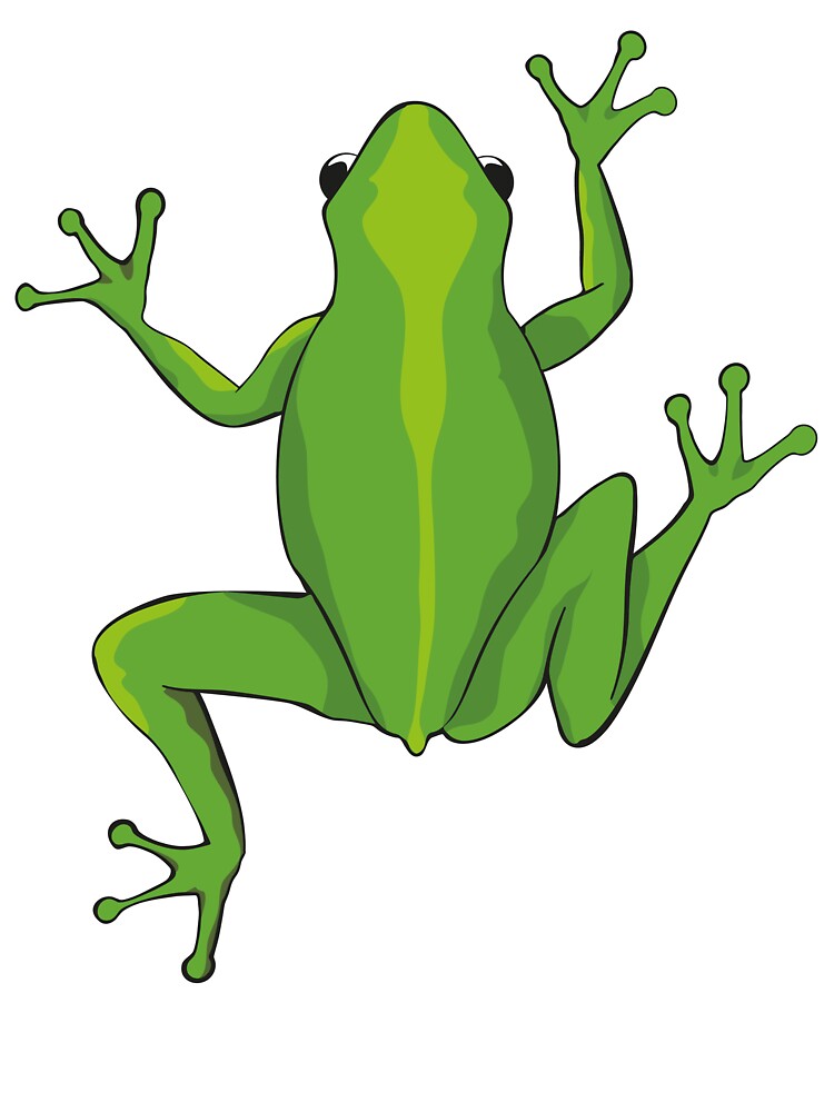 Cute Green Tree Frog Cartoon Illustration