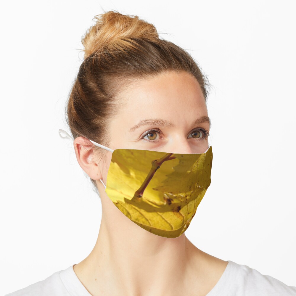 Autumn Vine - by South Australian artist Avril Thomas Mask