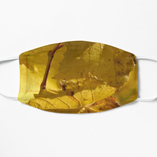 Autumn Vine - by South Australian artist Avril Thomas Mask