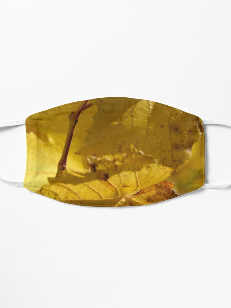 Alternate view of Autumn Vine - by South Australian artist Avril Thomas Mask