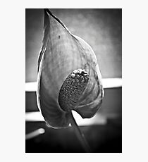 Angled Photographic Print