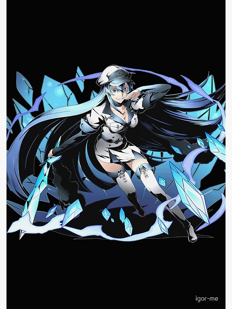 Esdeath wallpaper by CarlosCortez01 - Download on ZEDGE™ | 4ce7