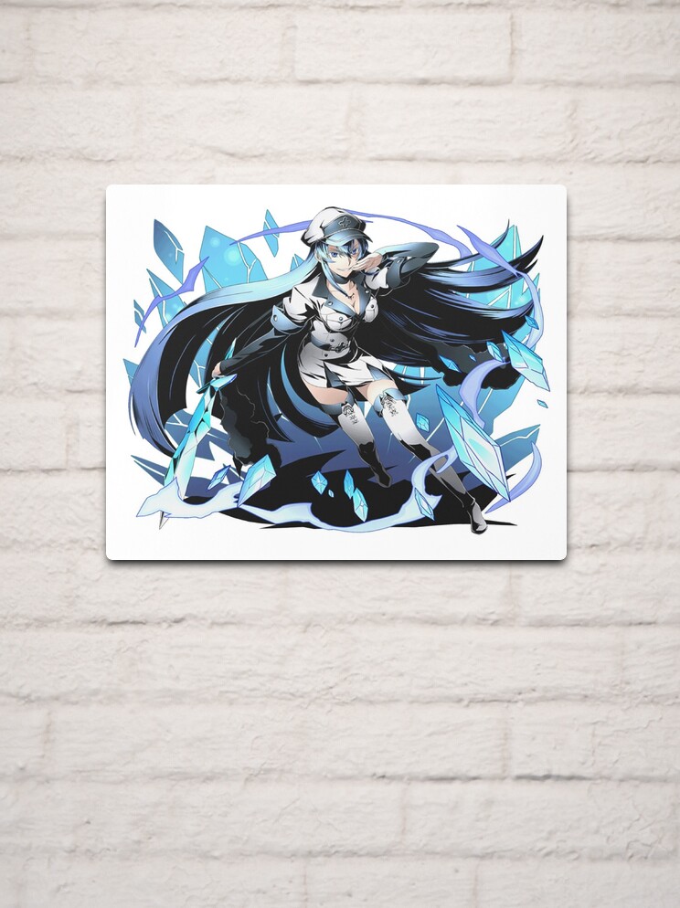 Akame Ga Kill Esdeath' Poster, picture, metal print, paint by