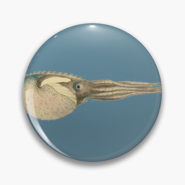 Item preview, Argonaut Vintage Scientific Illustration designed and sold by MoPaws.
