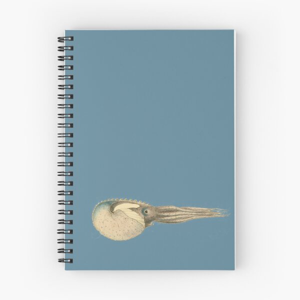 Item preview, Argonaut Vintage Scientific Illustration designed and sold by MoPaws.