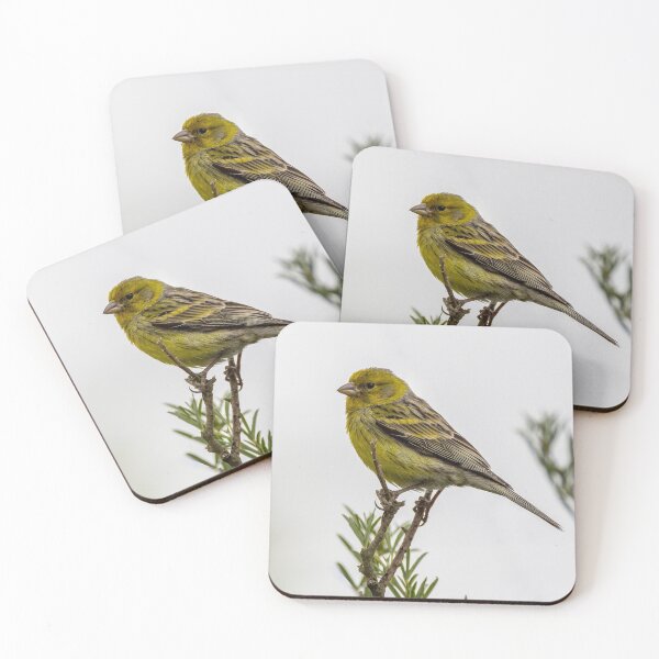 Item preview, Siskin bird designed and sold by iCimages.net.
